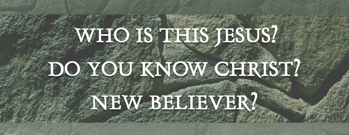 Banner New Believer2.png